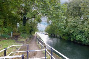 Photo 13- click for photo gallery